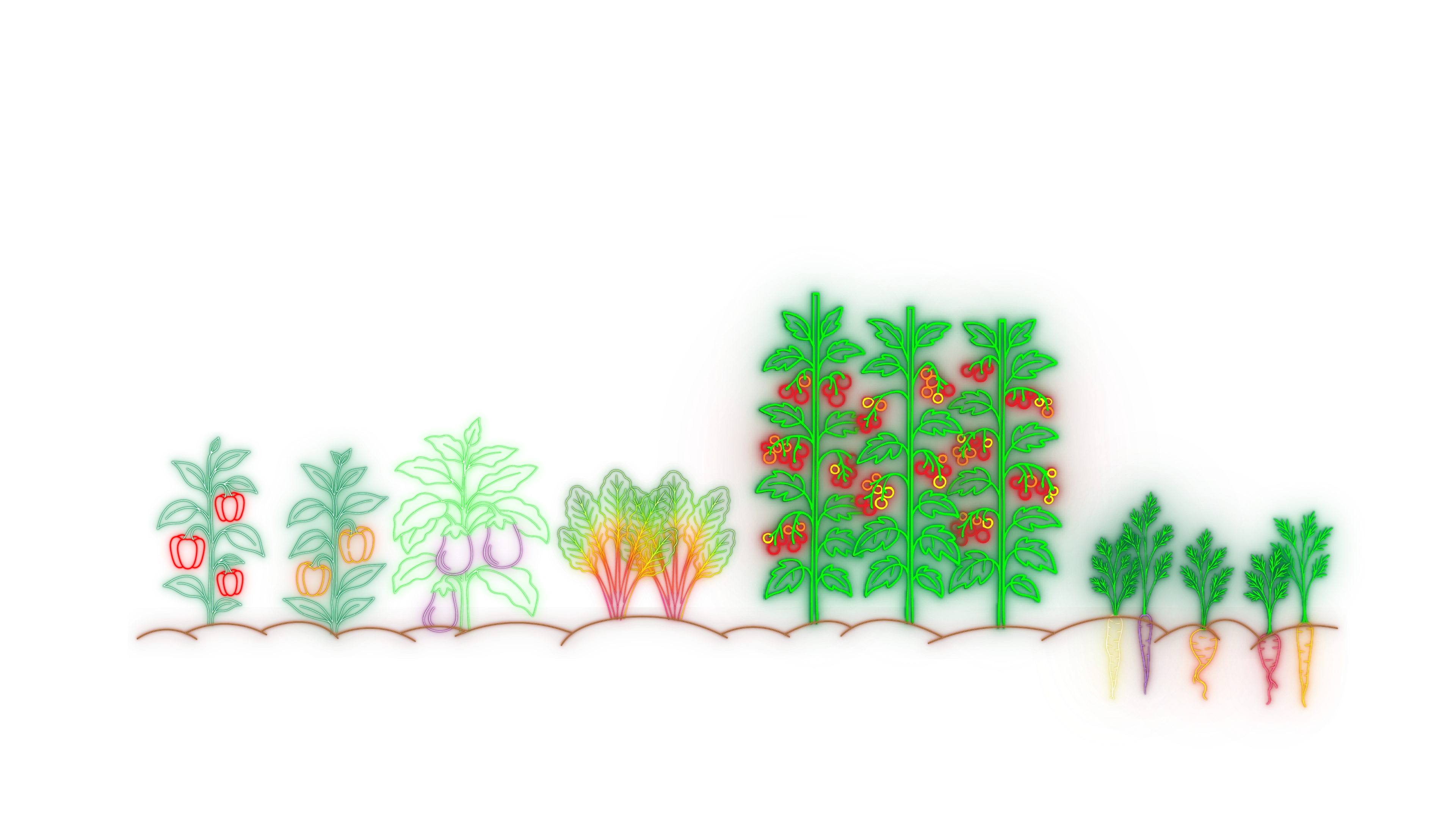 Neon vegetable garden