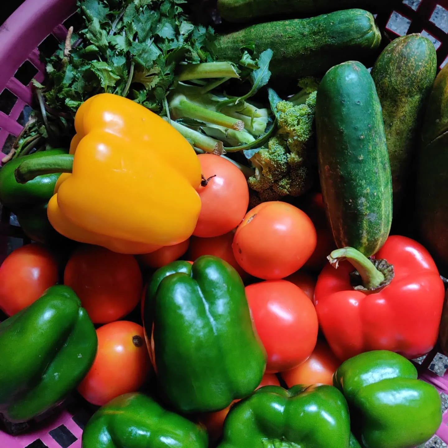 Box of fresh organic produce