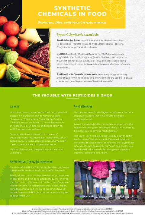 Synthetic Chemicals in Food poster preview